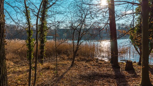 Autumn landscape lake