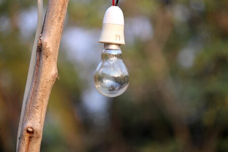 Light bulbs electricity light bulb idea photo