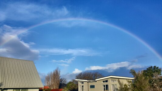 Tree blue sky blue rainbow