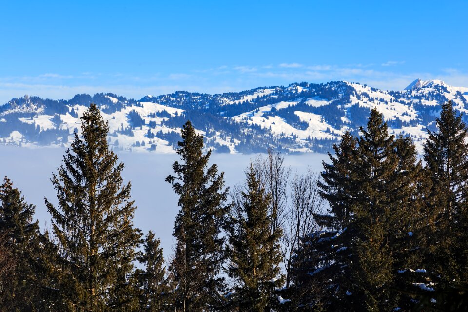 Nature landscape winter