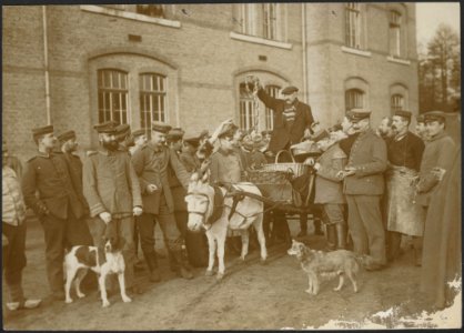 Wurst oder Frankfurter gefällig, Bestanddeelnr 158-1904