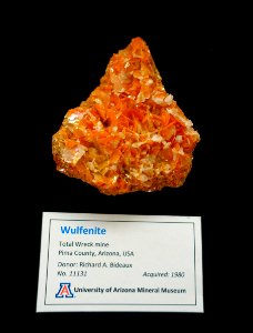 Wulfenite, Total Wreck Mine, Arizona - University of Arizona Mineral Museum - University of Arizona - Tucson, AZ - DSC08556 photo