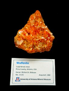 Wulfenite, Total Wreck Mine, Arizona - University of Arizona Mineral Museum - University of Arizona - Tucson, AZ - DSC08556