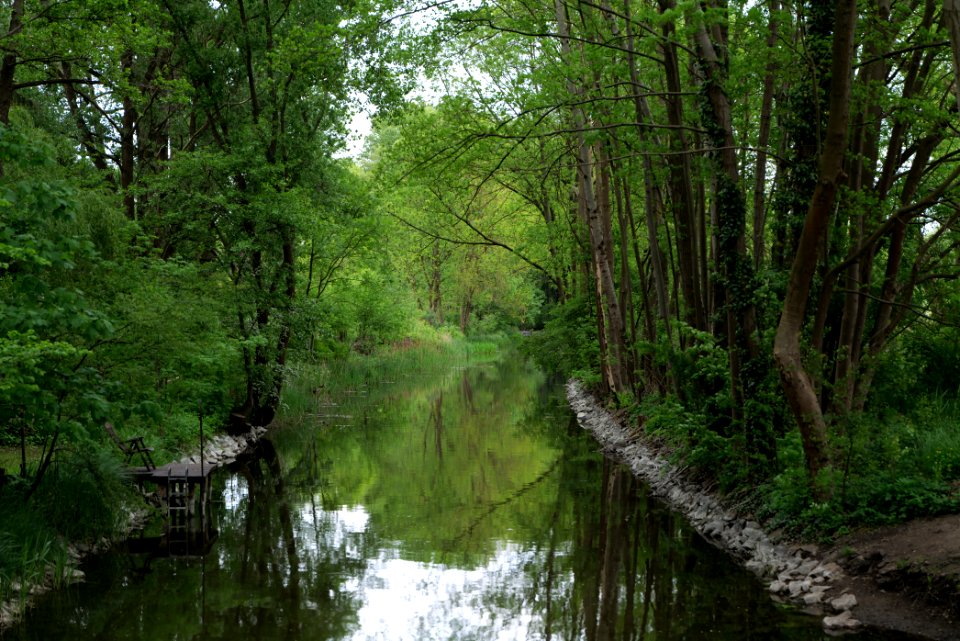 Wustrauer Rhin 2020-05-15 06