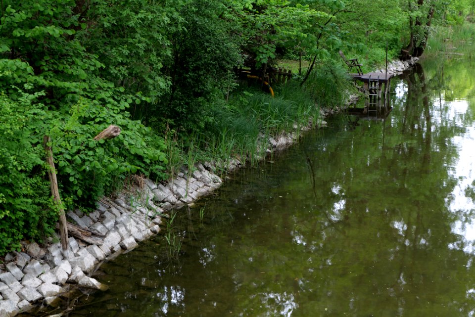 Wustrauer Rhin 2020-05-15 02