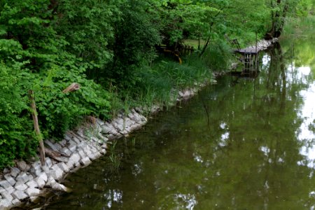 Wustrauer Rhin 2020-05-15 02