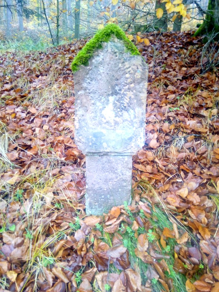 WSS Dörnbach (Kirchzell) 4