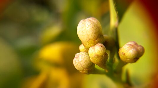 Outdoors growth little