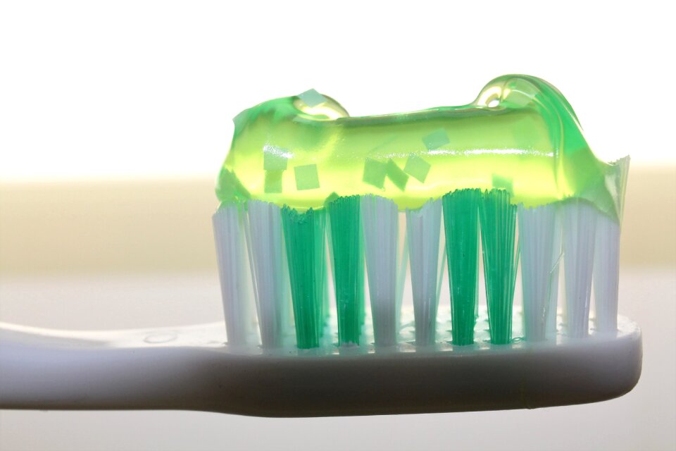 Oral luminous green bristles photo