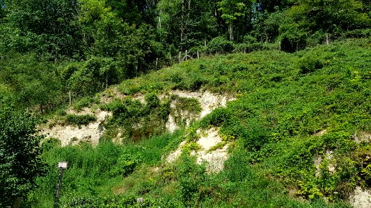 Bemelen-Mettenberggroeve IV (7)