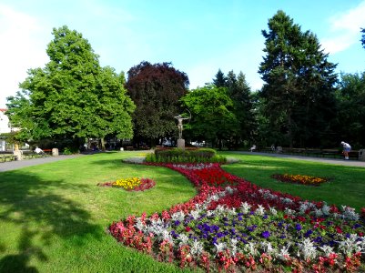 Bdg Luczniczka widziel 3 07-2013