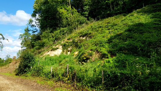 Bemelen-Mettenberggroeve IV (2)