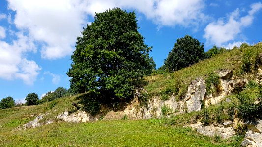 Bemelen-Cluysberggroeve (9)