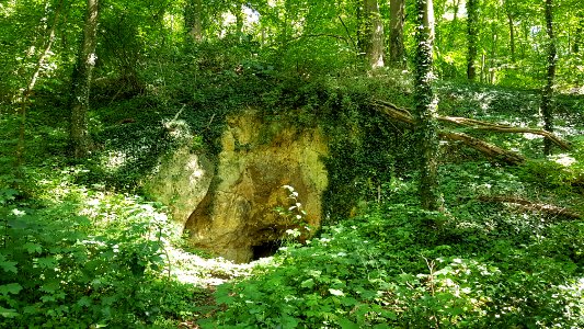 Bemelen-Bemelerbosgroeve II (2)