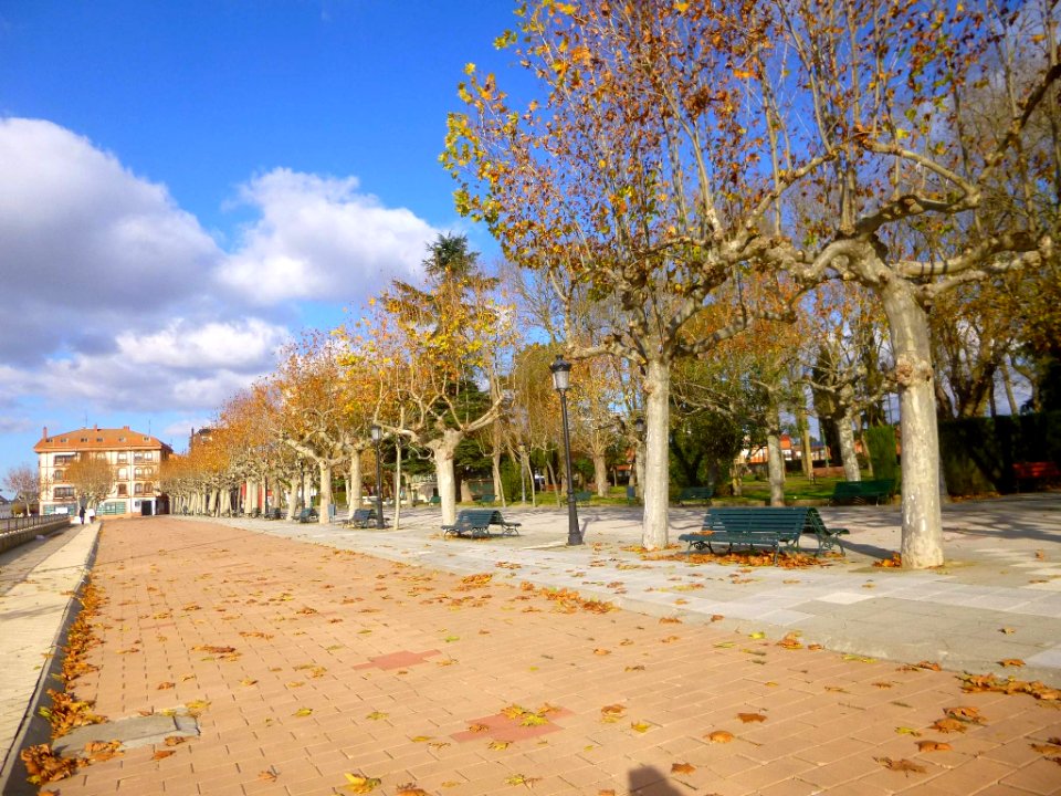 Benavente - Paseo de la Mota 14