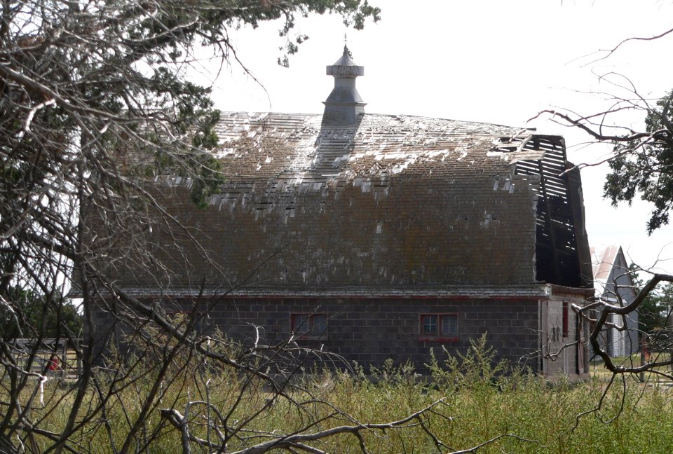 Beamer barn (Gove Co) from N 1