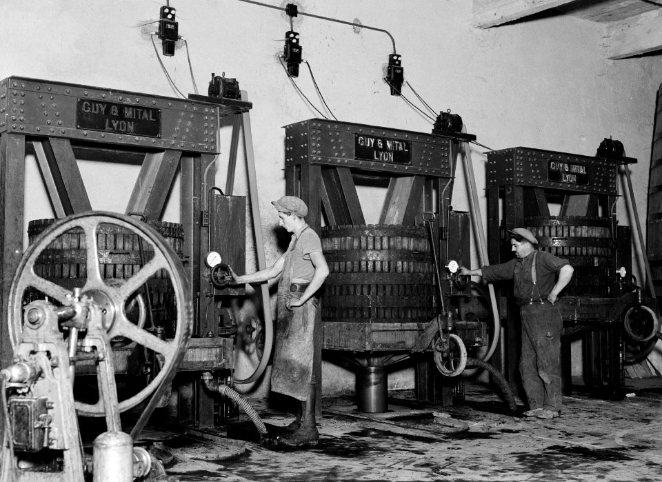Bediening van een machinale pers in de Caves Coöperatives de Fleurie, Bestanddeelnr 191-0327