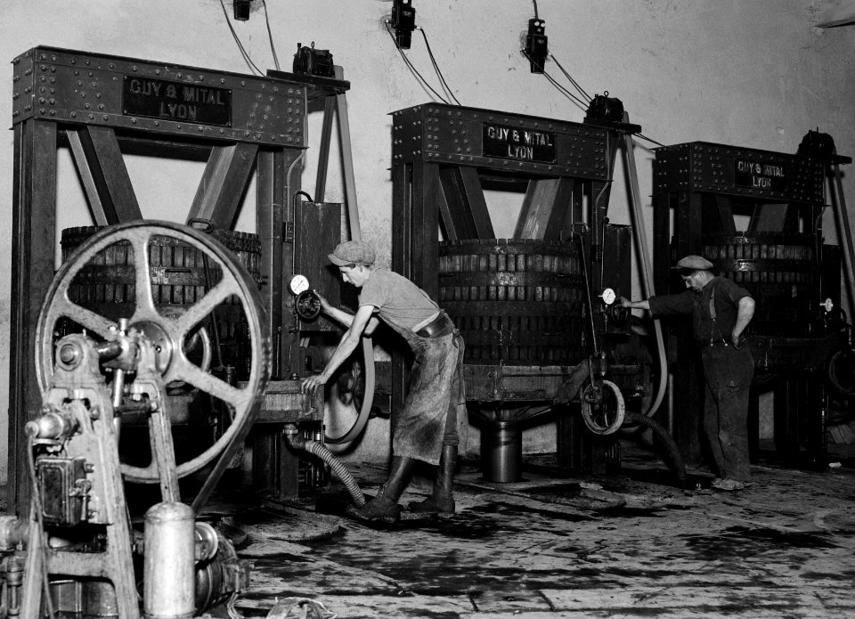 Bediening van een machinale pers in de Caves Coöperatives de Fleurie, Bestanddeelnr 191-0325