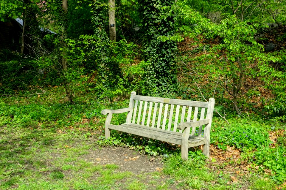 Bench - Menotomy Rocks Park - Arlington, MA - DSC01861