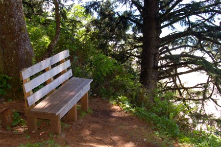 Bench on South Beach Trail
