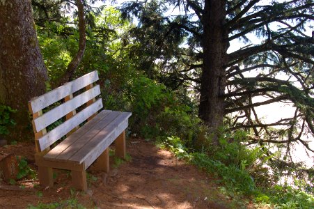 Bench on South Beach Trail photo