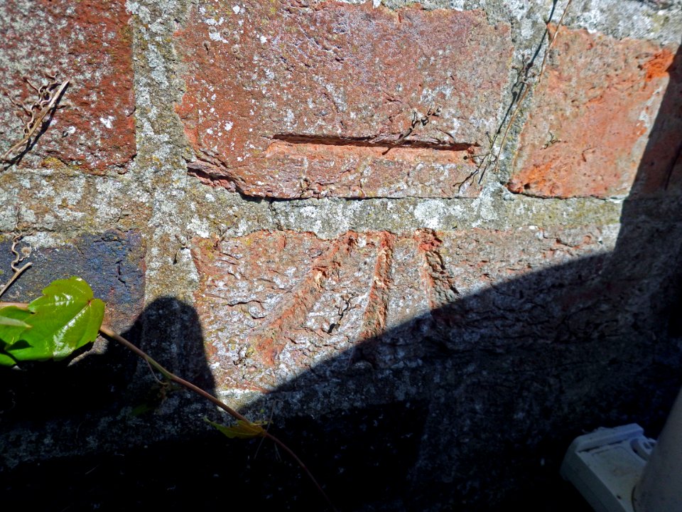 Benchmark, The Wendy House, Gunters Lane, Bexhill