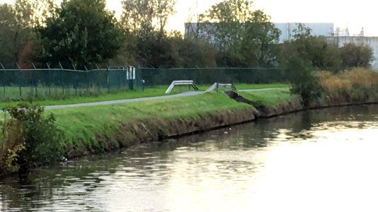 Bellebeek monding Dender 2018-10-23 (2)
