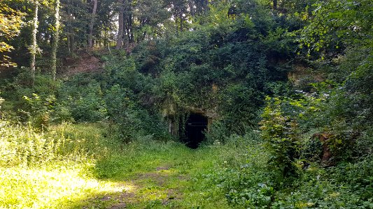 Bemelen-Koelebosgroeve (1)