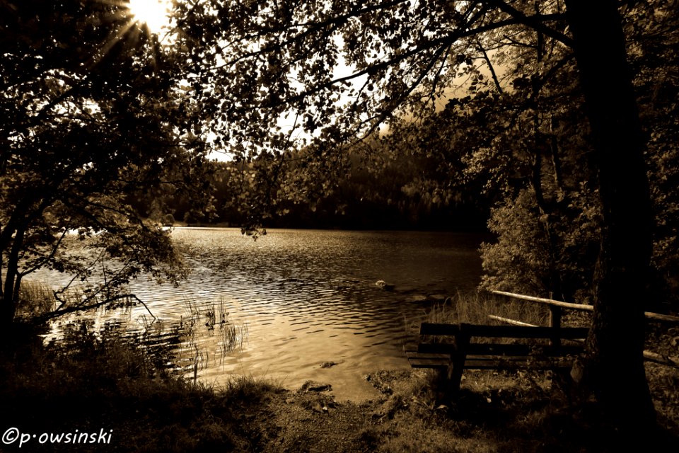 Bench On The Lake Austria (181940205)