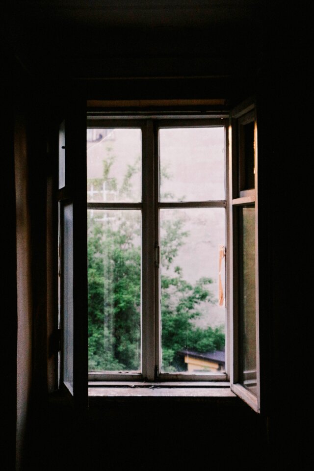 Window shield black window