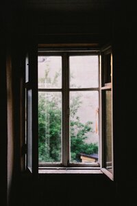 Window shield black window