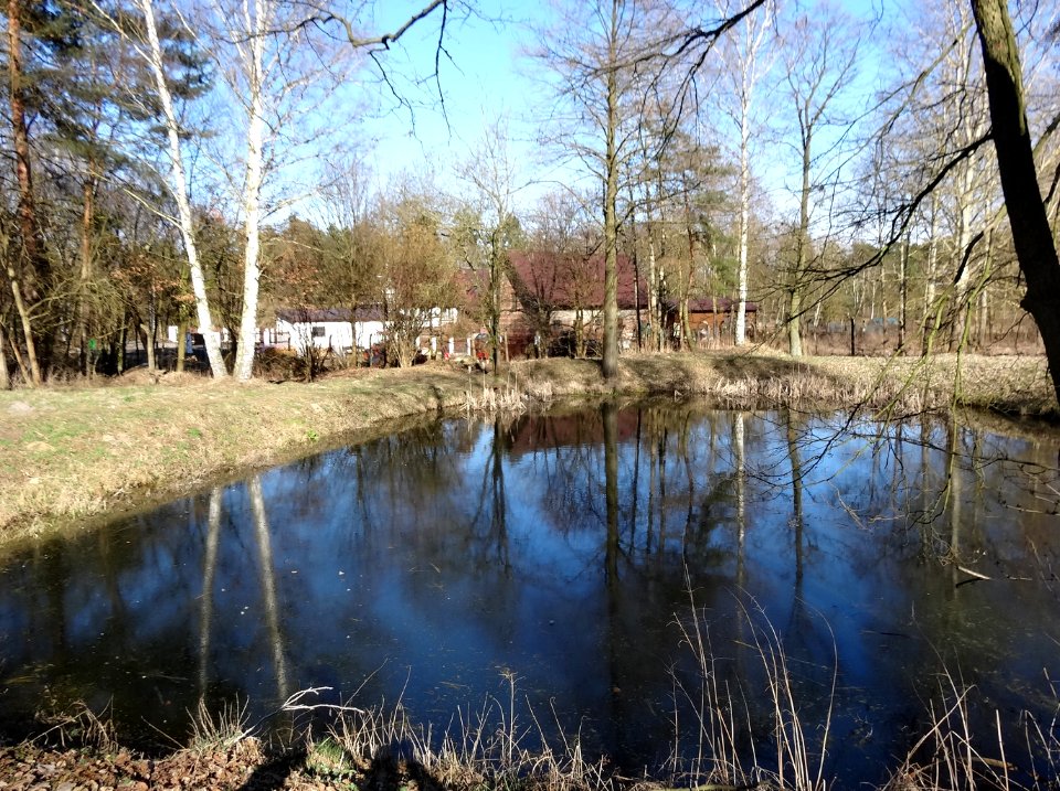 Bdg Zolwin staw lesniczowka3 3-2015