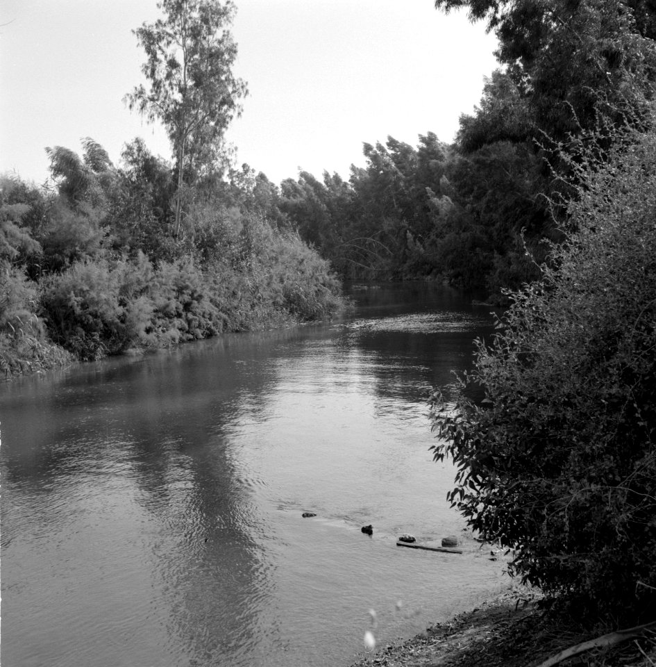 Begroeide oevers van de rivier de Jordaan bij de uitmonding van de rivier in het, Bestanddeelnr 255-4136
