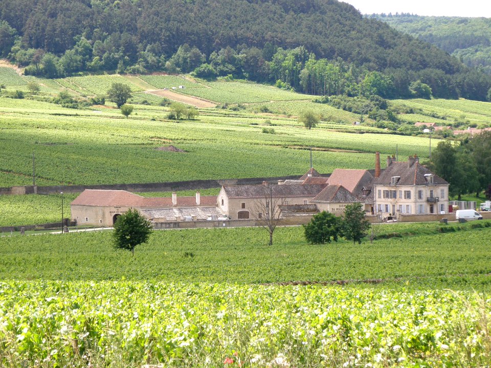 Auxey-Duresses Moulin-aux-Moines 2