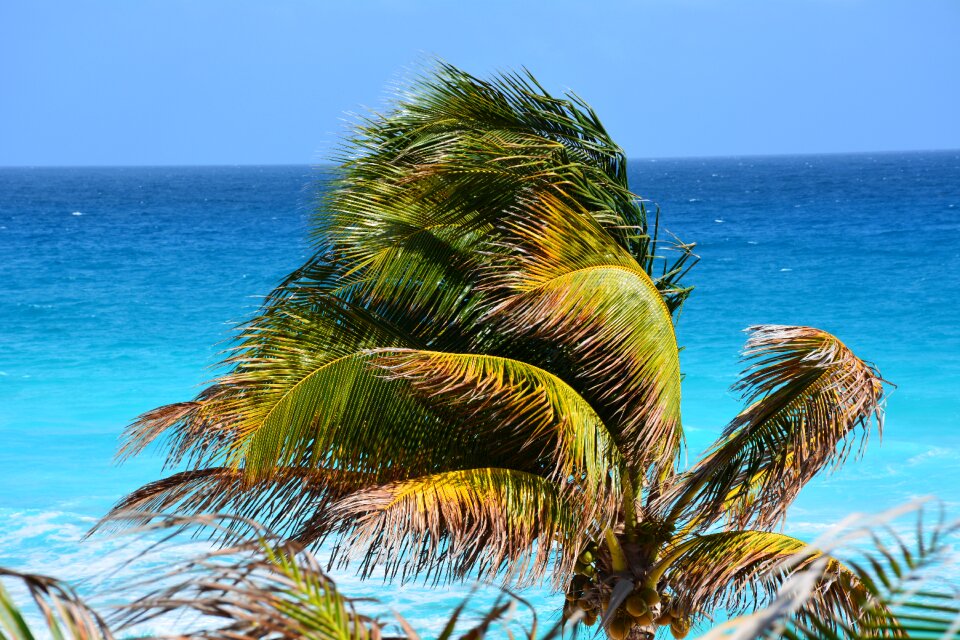 Landscape blue holiday