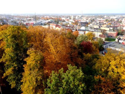 Bdg widokzwcisnien parkDabr 1 10-2013