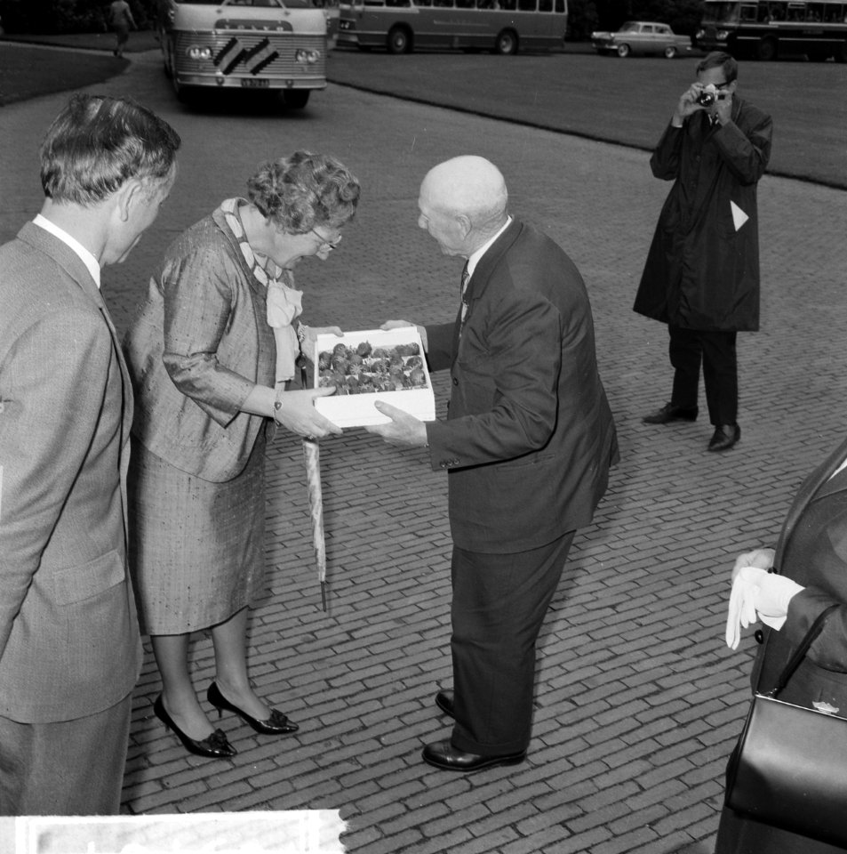 Bejaardendefilé op Soestdijk, één der bejaarden uit Varik overhandigt koningin J, Bestanddeelnr 916-5704