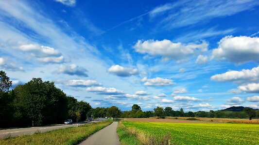 Meadow field sky