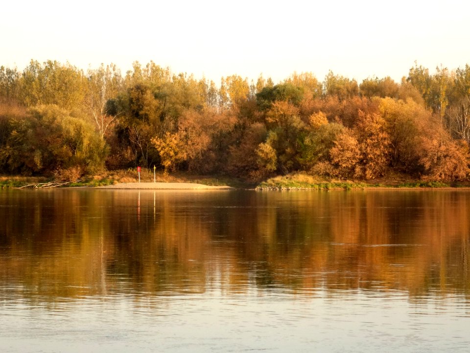 Bdg Fordon Vistula 10-18 e5