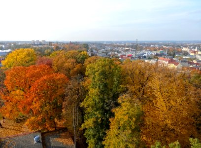 Bdg widokzwcisnien parkDabr 2 10-2013