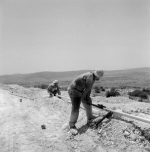 Bevloeiingswerken bij de kibboets Hakuk bij het Meer van Tiberias Arbeiders bez, Bestanddeelnr 255-4802