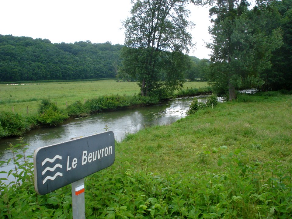 Beuvron rivière de la Nièvre, Fr