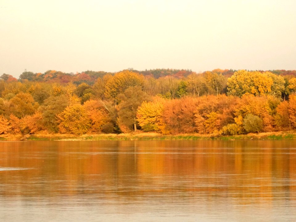 Bdg Fordon Vistula 10-18 f1