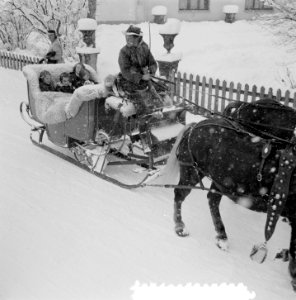 Bezoek Koninklijk gezin aan Grindelwald, vier Prinsessen arreslede, Bestanddeelnr 906-2190