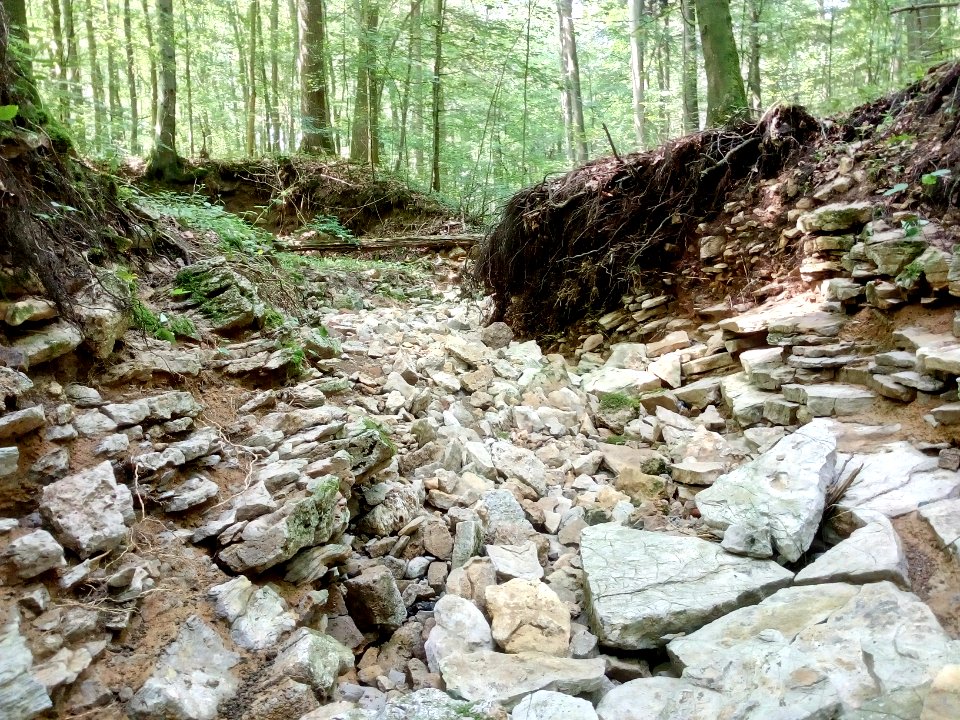 Binzenlöchlesgraben, Waldgebiet Hinterbach, Bachbett nach Unwetter (3)