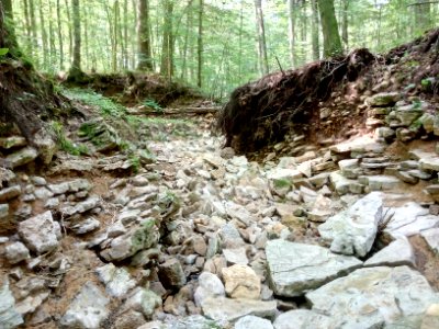 Binzenlöchlesgraben, Waldgebiet Hinterbach, Bachbett nach Unwetter (3)