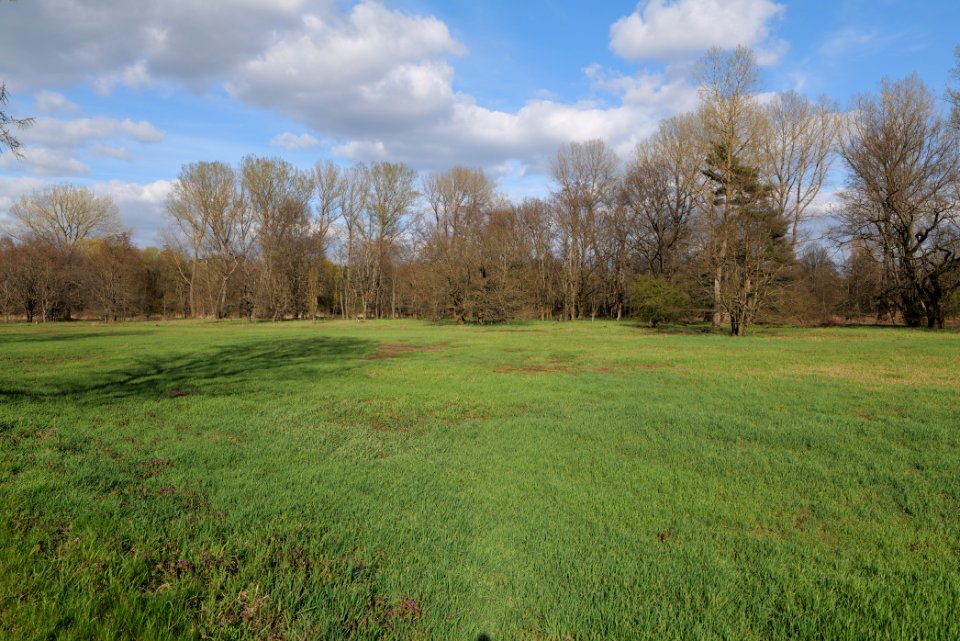 Biotopverbund Spreeaue 2021-04-24 02