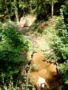 Binzenlöchlesgraben, Bachbett im Großen Wald nach Unwetter (3)