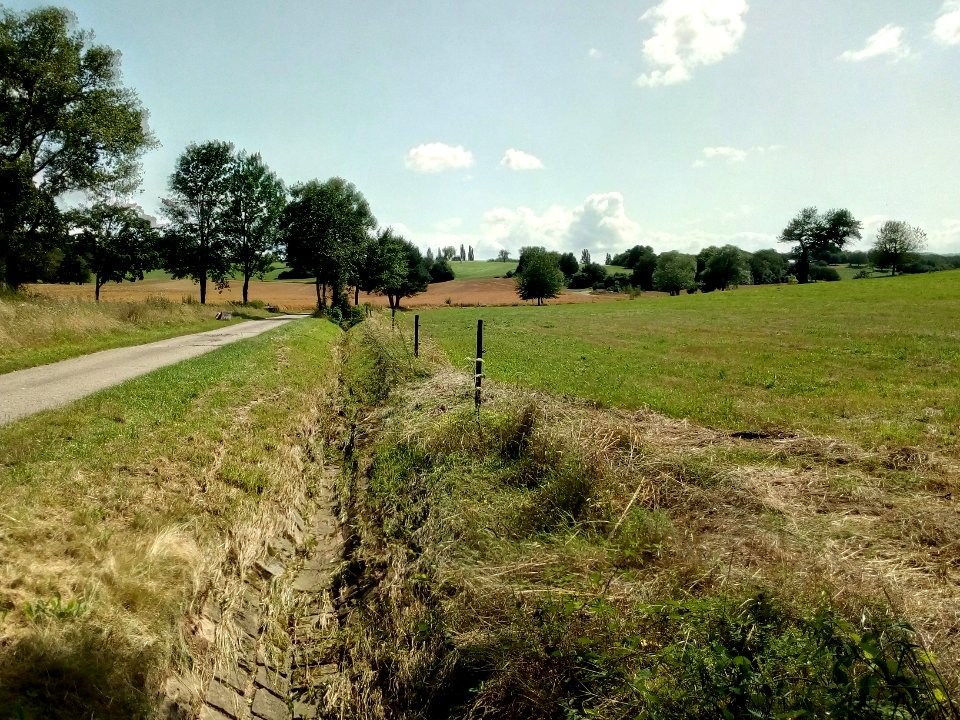 Binzenlöchlesgraben, im Binzenlöchle, Blick nach Süden (2)