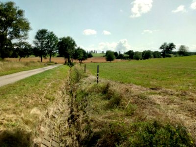 Binzenlöchlesgraben, im Binzenlöchle, Blick nach Süden (2)